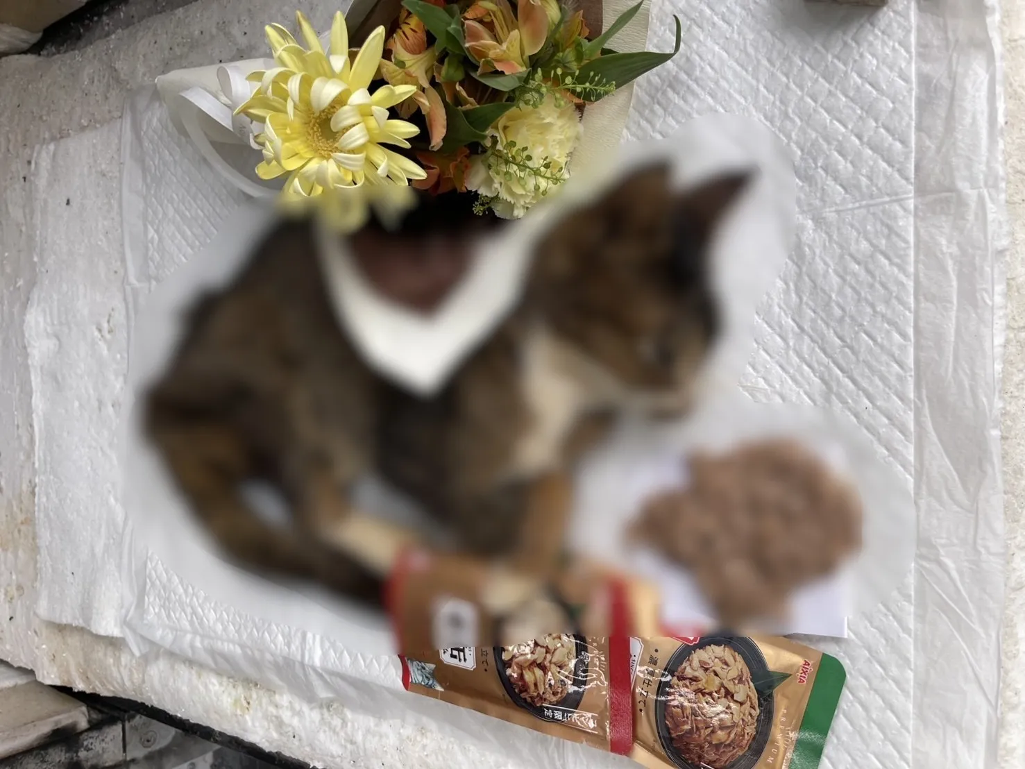 川崎市宮前区でみんなに愛されていた猫ちゃんをお見送りしました